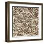 Map of Madrid-F. de Witt-Framed Art Print