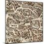 Map of Madrid-F. de Witt-Mounted Art Print