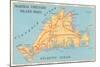 Map of Martha's Vineyard-null-Mounted Art Print