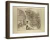 Map of Martinique French Guiana and Terra Nova 1896-null-Framed Giclee Print