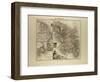 Map of Martinique French Guiana and Terra Nova 1896-null-Framed Giclee Print