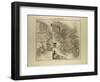 Map of Martinique French Guiana and Terra Nova 1896-null-Framed Giclee Print