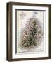 Map of Mauritius, Illustration from "Paul et Virginie" by Henri Bernardin de Saint-Pierre, 1836-A.h. Dufour-Framed Giclee Print