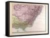 Map of New South Wales, 1872-null-Framed Stretched Canvas