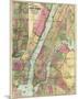 Map of New York and Adjacent Cities, c.1874-Gaylord Watson-Mounted Art Print