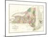 Map of New York, c.1839-David H^ Burr-Mounted Art Print