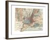 Map of New York City (C. 1900), Maps-Encyclopaedia Britannica-Framed Giclee Print