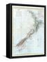 Map of New Zealand-null-Framed Stretched Canvas