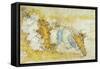 Map of North-West of Tuscany from Florence to Sea-Leonardo da Vinci-Framed Stretched Canvas