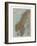 Map of Norway and Sweden, c19th century-Unknown-Framed Giclee Print