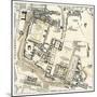 Map of Palatine Hill, City Center of Ancient Rome-null-Mounted Giclee Print
