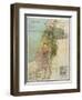 Map of Palestine During New Testament Times-null-Framed Photographic Print