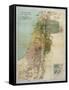 Map of Palestine During New Testament Times-null-Framed Stretched Canvas