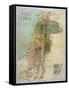 Map of Palestine During New Testament Times-null-Framed Stretched Canvas