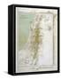 Map of Palestine in Biblical Times-null-Framed Stretched Canvas