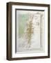 Map of Palestine in Biblical Times-null-Framed Art Print