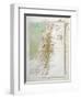 Map of Palestine in Biblical Times-null-Framed Art Print