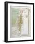 Map of Palestine in Biblical Times-null-Framed Art Print