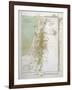 Map of Palestine in Biblical Times-null-Framed Art Print