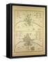 Map of Paris in the 12th Century and in the 14th Century France-null-Framed Stretched Canvas