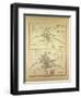 Map of Paris in the 12th Century and in the 14th Century France-null-Framed Giclee Print