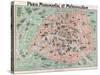Map of Paris-null-Stretched Canvas