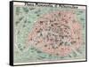 Map of Paris-null-Framed Stretched Canvas