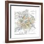 Map of Petersburg-null-Framed Premium Giclee Print