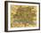 Map of Rome, 1500s-Science Source-Framed Giclee Print