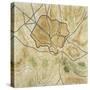 Map of Rome in the Archaic Period-null-Stretched Canvas
