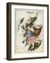 Map Of Scotland As a Woman Carrying a Basket Of Fish.-Lilian Lancaster-Framed Giclee Print