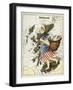 Map Of Scotland As a Woman Carrying a Basket Of Fish.-Lilian Lancaster-Framed Giclee Print