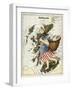 Map Of Scotland As a Woman Carrying a Basket Of Fish.-Lilian Lancaster-Framed Giclee Print