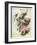 Map Of Scotland As a Woman Carrying a Basket Of Fish.-Lilian Lancaster-Framed Premium Giclee Print