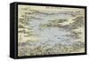 Map of Shogama and Matsushima in Oshu-Katsushika Hokusai-Framed Stretched Canvas