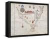 Map of South America and Strait of Magellan from Luis Lazaro's World Atlas, 1563-null-Framed Stretched Canvas