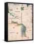 Map of South America and the Coastline of Brazil with parrots, 1502, Estense Library,Modena, Italy-null-Framed Stretched Canvas