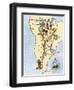 Map of South America, from Sebastian Cabot's Map of the World, c.1544-null-Framed Giclee Print