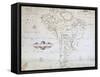 Map of South America-null-Framed Stretched Canvas