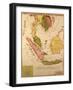 Map of South East Asia-null-Framed Giclee Print