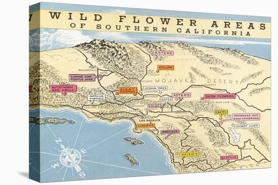 Map of Southern California Wild Flower Areas-null-Stretched Canvas