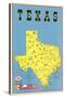Map of Texas, Flags-null-Stretched Canvas