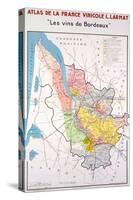 Map of the Bordeaux Region-null-Stretched Canvas