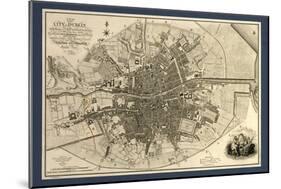 Map of the City of Dublin, 1797-Library of Congress-Mounted Photographic Print