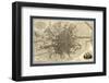 Map of the City of Dublin, 1797-Library of Congress-Framed Photographic Print