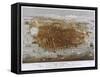 Map Of The City Of San Francisco 1878-Vintage Lavoie-Framed Stretched Canvas