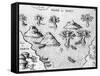 Map of the Coast of Guyana, Illustration from 'Regni Guianae'-null-Framed Stretched Canvas