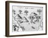 Map of the Coast of Guyana, Illustration from 'Regni Guianae'-null-Framed Giclee Print