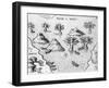 Map of the Coast of Guyana, Illustration from 'Regni Guianae'-null-Framed Giclee Print