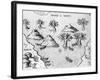 Map of the Coast of Guyana, Illustration from 'Regni Guianae'-null-Framed Giclee Print